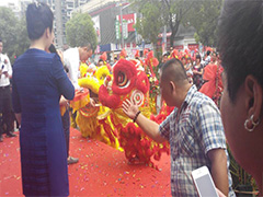 �c���xʽ��Ӳ߄�